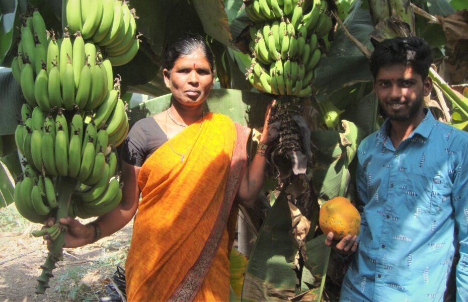 Devka och Krishna Desai tillhör de bönder i Maharashtra som har växlat över till ekologiska odlingar, där olika sorters grödor samsas på gemensamma ytor.