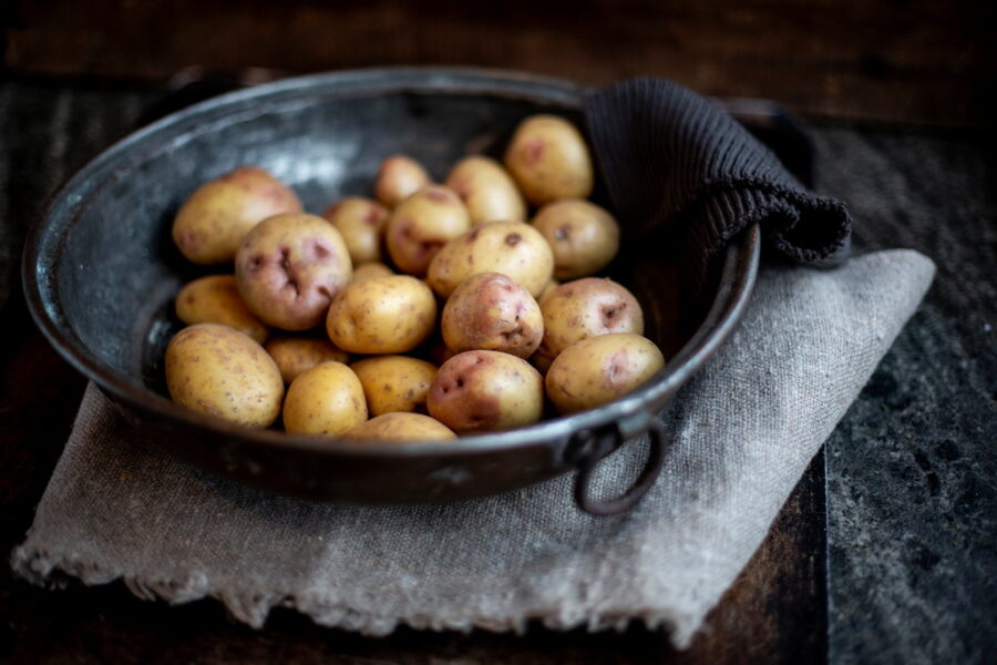 Billig, mättande, god och mångsidig – potatisen är en världskändis av rang.