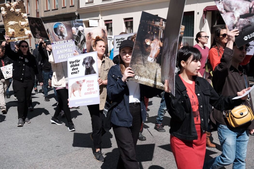 Under lördagens djurrättsdemonstration ställdes bland annat den enkla frågan "Varför älska den ena, men äta den andra? Foto: Henrik Persson.