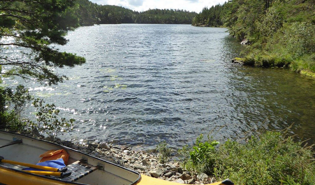 Den svenska provtagningen ägde rum i Gårdsjöns avrinningsområde i Stenungsunds kommun, ett till synes orört naturområde.