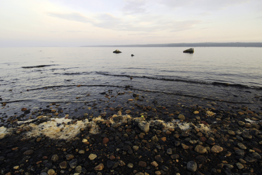 Miljoner kubik av giftiga muddermassor får dispens för att dumpas i Östersjön.