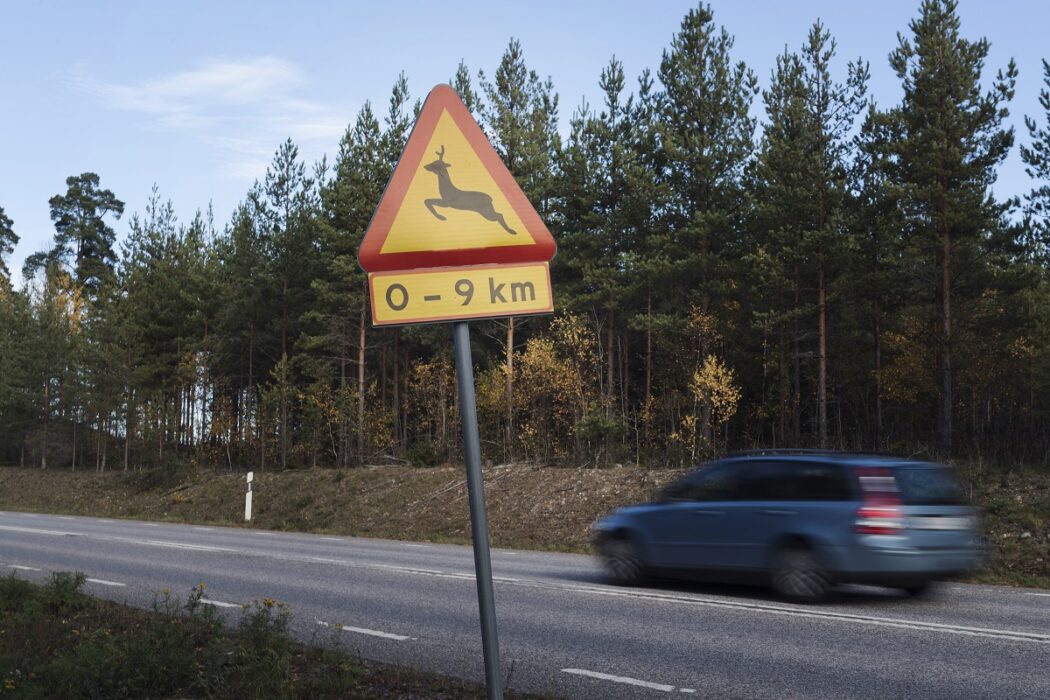 "På fråga om man vill jaga trots risker, svarade en manlig jaktledare ilsket ”jakten är redan såld”, skriver debattören.