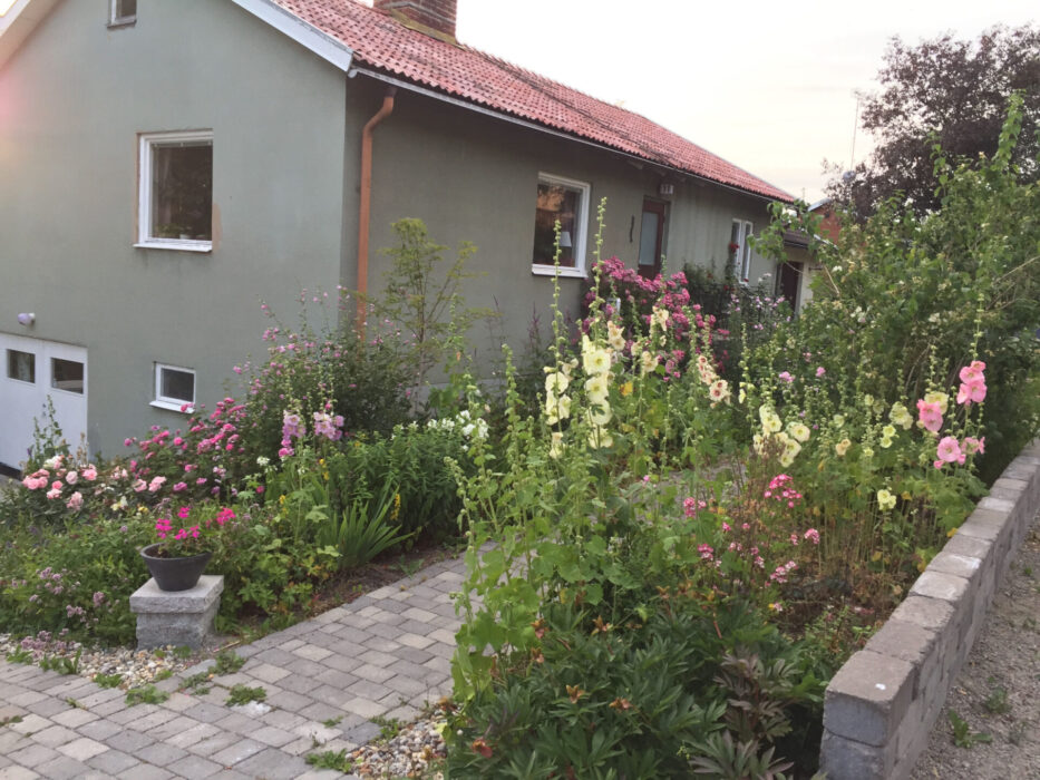 Bin gillar inte villagräsmattor utan vill ha blommande växter i variation, så att blommorna avlöser varandra under säsongen