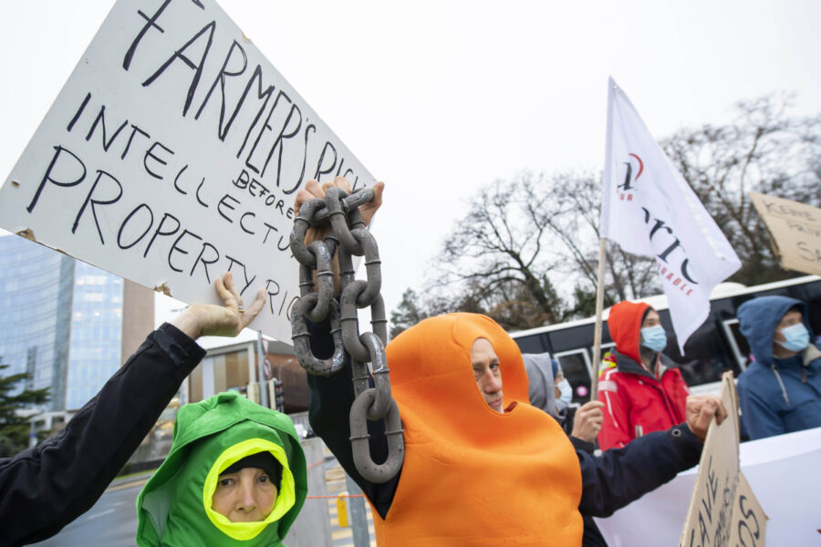 Schweiziska demonstranter utklädda till grönsaker protesterar mot patentlagarna kring frön som de menar drabbar lantbrukare i söder och hotar den biologiska mångfalden inom lantbruket.