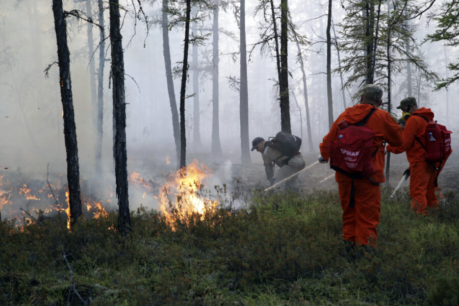 Skogsbränder har blivit vanligare i Sibirien.