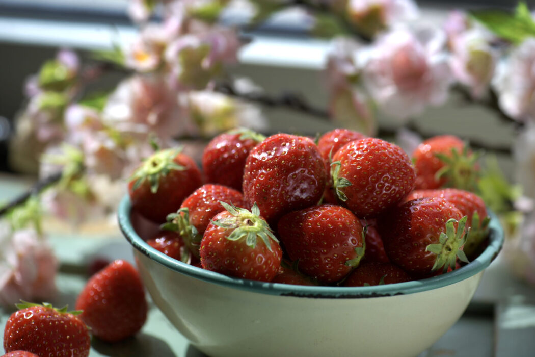 Vill vi ha jordgubbar till midsommarfesten behöver vi pollinatörernas hjälp