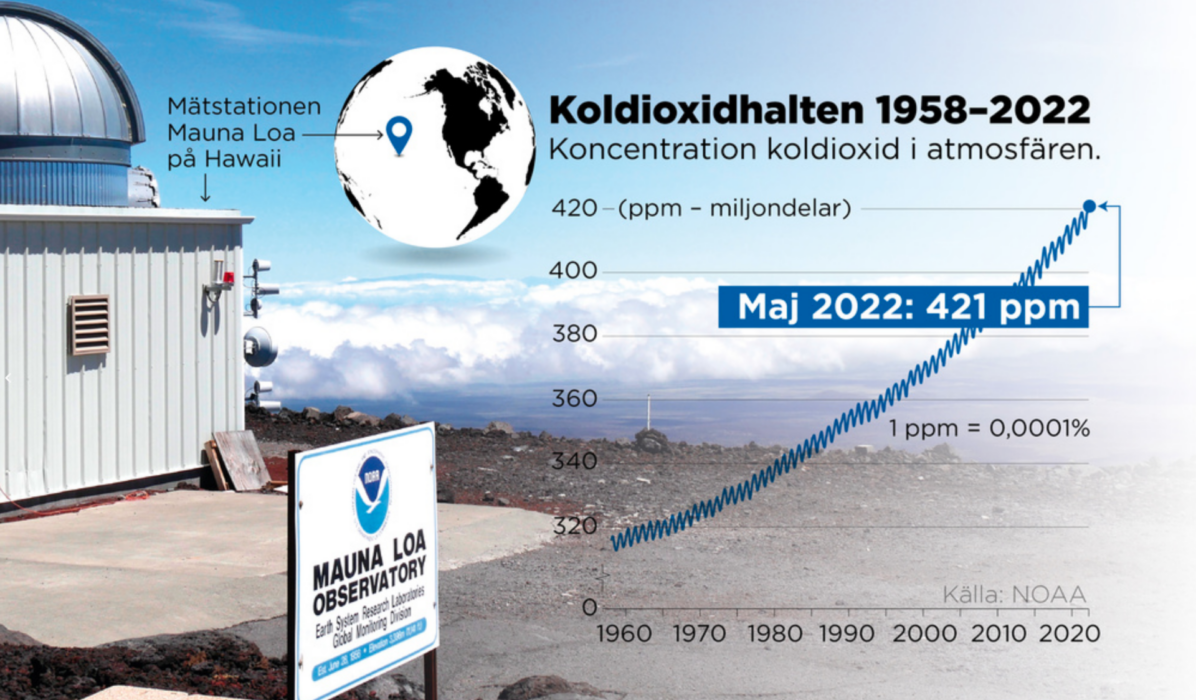 Koncentration koldioxid i atmosfären.