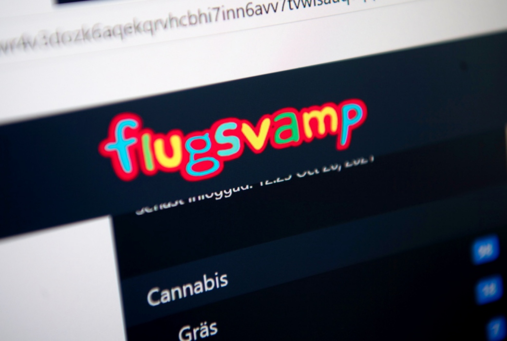 30-åringen har anklagats för att vara mannen bakom den svenska drogmarknadsplatsen Flugsvamp 2.
