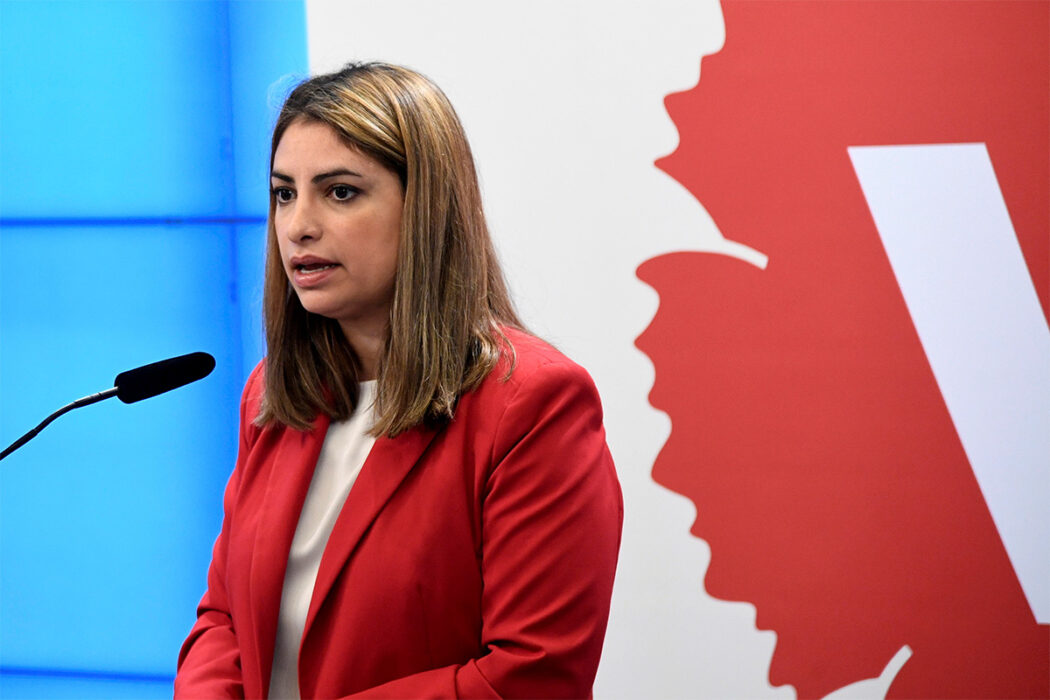 Vänsterpartiets ledare Nooshi Dadgostar vill satsa miljarder på elnät, vindkraft, bostäder, transporter och stora infrastrukturprojekt som skulle skapa tusentals jobb.