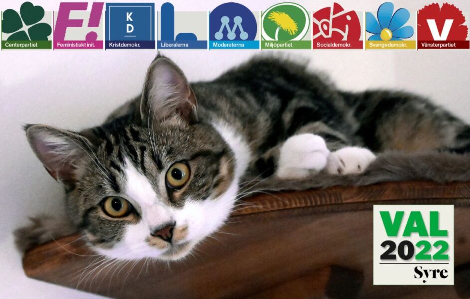 Den nya lagen om märkning och registrering av katter är ett av många riksdagsbeslut.
