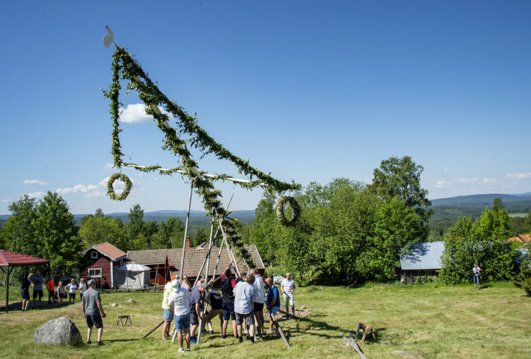 Den som vill slippa dra upp en midsommarstång kan istället delta digitalt på en konferens om basinkomst som börjar i dag och fortsätter till och med midsommardagen.