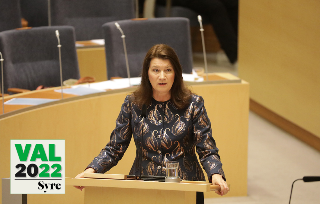 Utrikesminister Ann Linde lovar att Sverige ska bidra till Turkiets säkerhet i Nato i den nya utrikesdeklarationen.