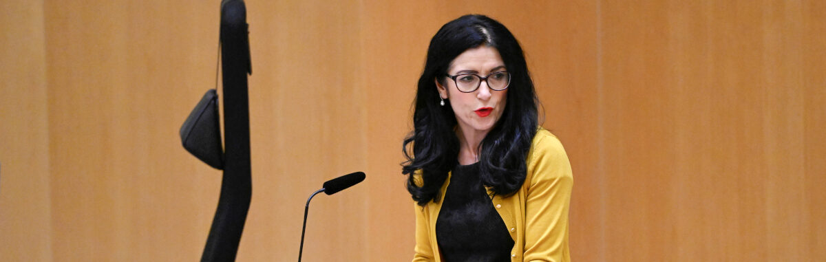 Riksdagsledamoten Amineh Kakabaveh kräver hårdare tag från regeringen mot Turkiet.
