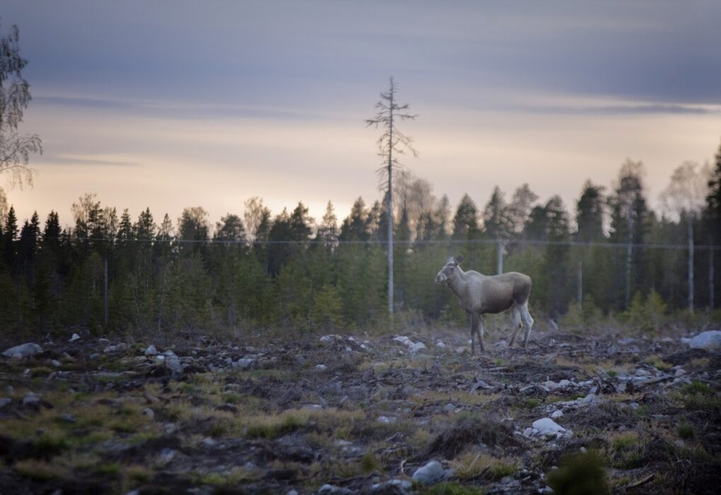"Föroreningar, djur och växter bryr sig inte om kommungränser.