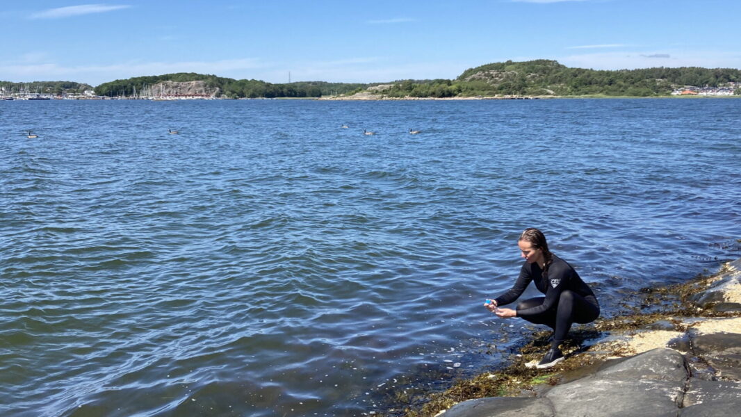 Ana Tronholm, forskare i marinbiologi vid Göteborgs universitet samlar in vattenprover på västkusten.