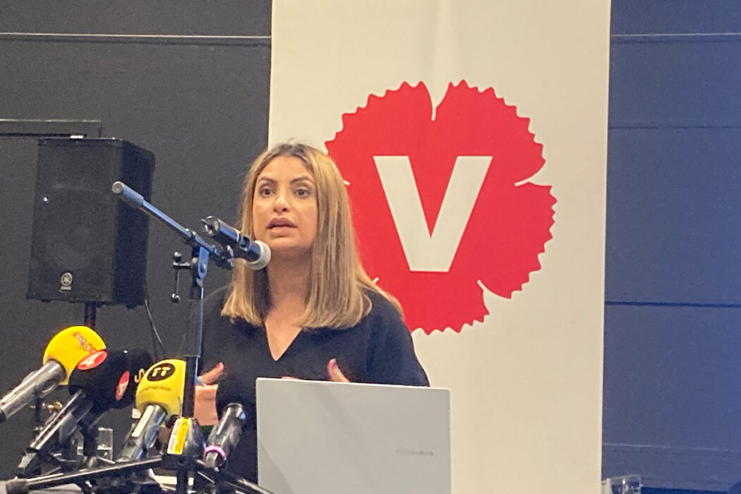 Vänsterpartiet vill införa ett vinstförbud för skolor.