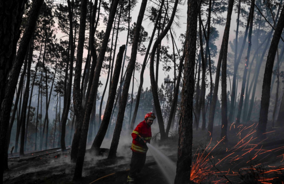 En av de tusentals brandmän som kämpar med att släcka de bränder som härjar i centrala och norra delarna av Portugal.