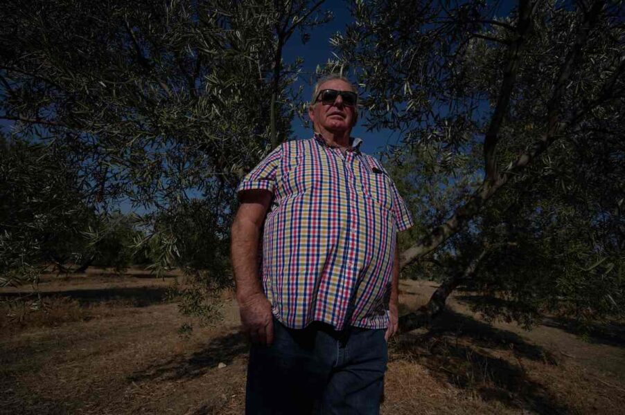 Den spanska olivbonden Felipe Elvira tycker att torkan blir värre och värre för varje år som går.