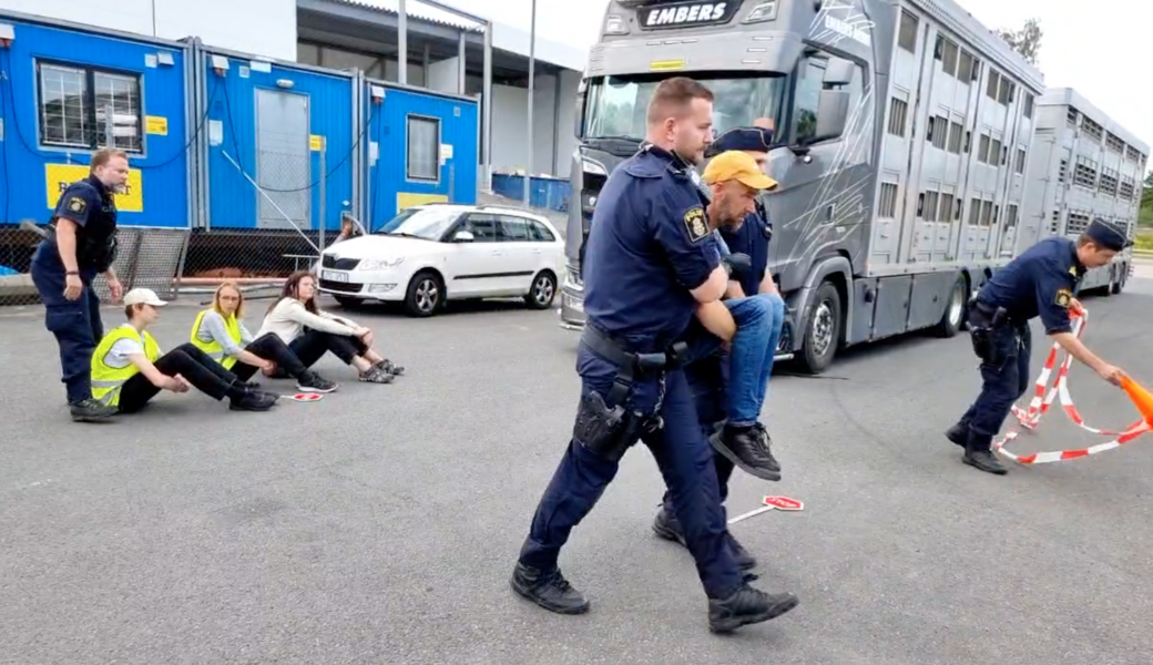 Polisen bar bort de sex aktivisterna som blockerade djurtransporten utanför Skövde slakteri.