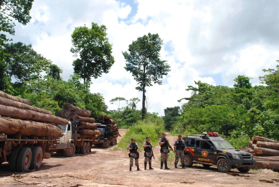 Tillslag mot en frakt av illegalt skövlat timmer i Amazonas.