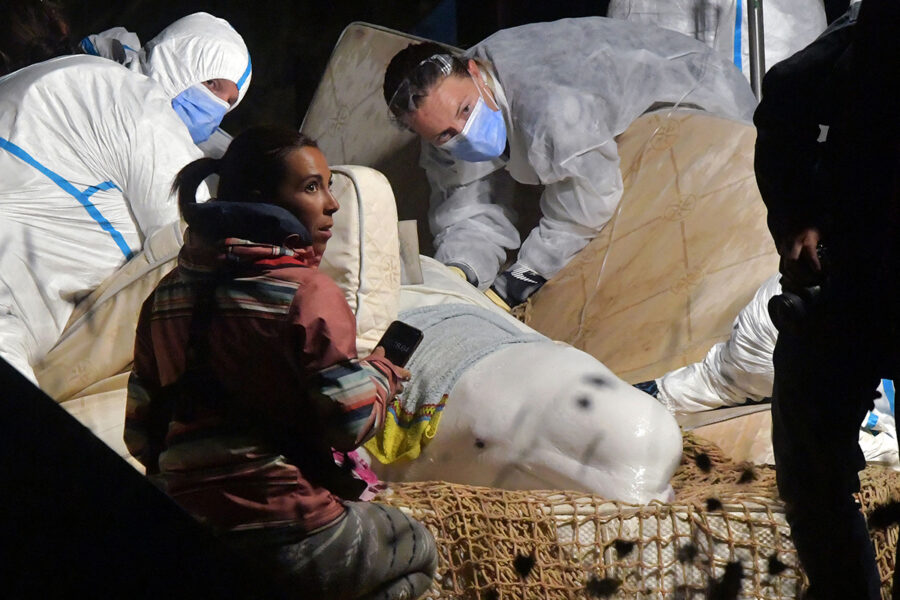Veterinärer tog hand om vitvalen som simmat i floden Seine men kunde inte rädda dess liv.