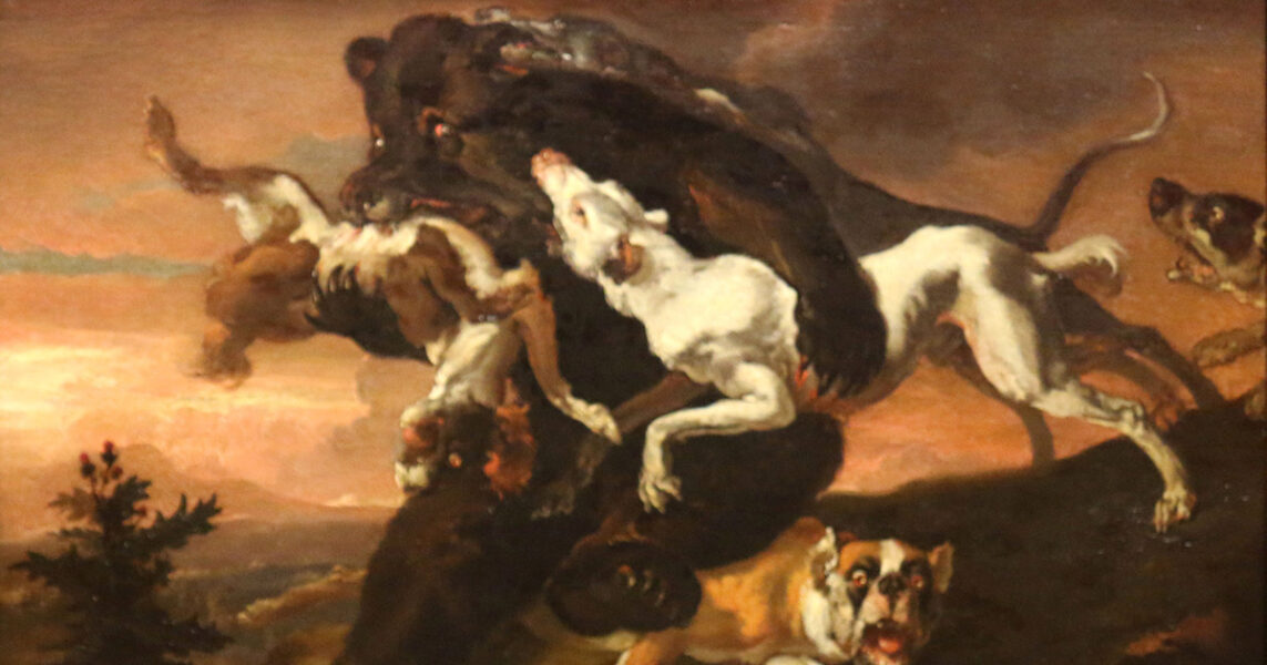 ”Grymma jaktsätt som illustrerades i konsten för 200 år sedan motsvaras av hur rovdjursjakt glorifieras i dag.