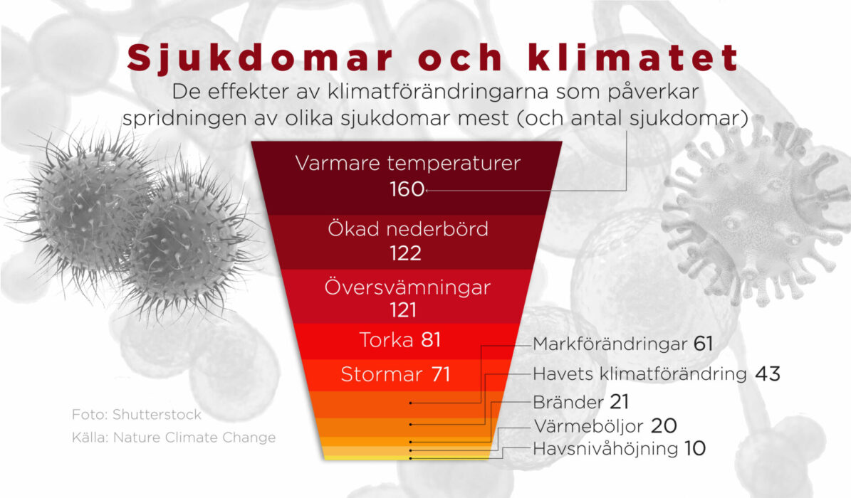 De effekter av klimatförändringarna som påverkar spridningen av olika sjukdomar mest (och antal sjukdomar)
