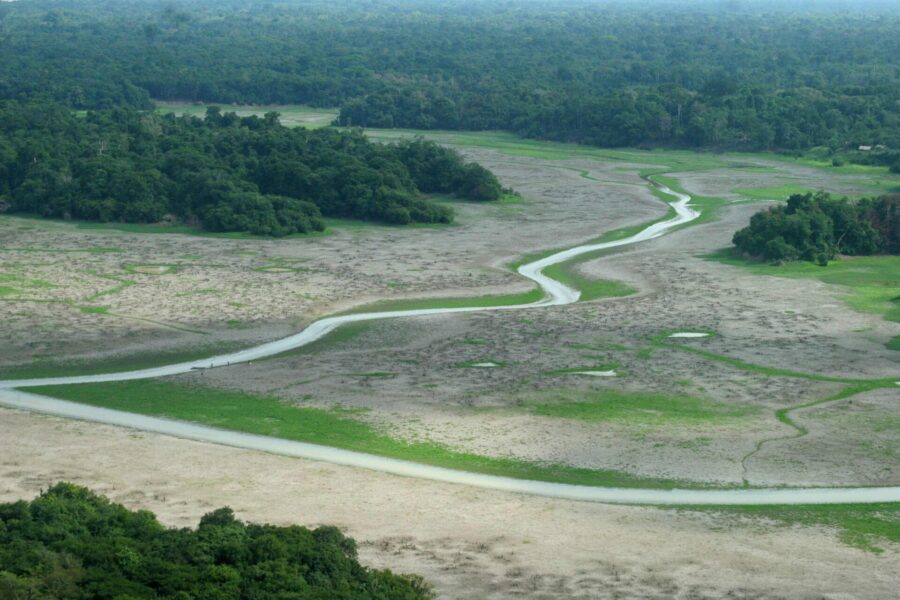Svår torka har drabbat regnskogen i Amazonas vid några tillfällen de senaste decennierna.