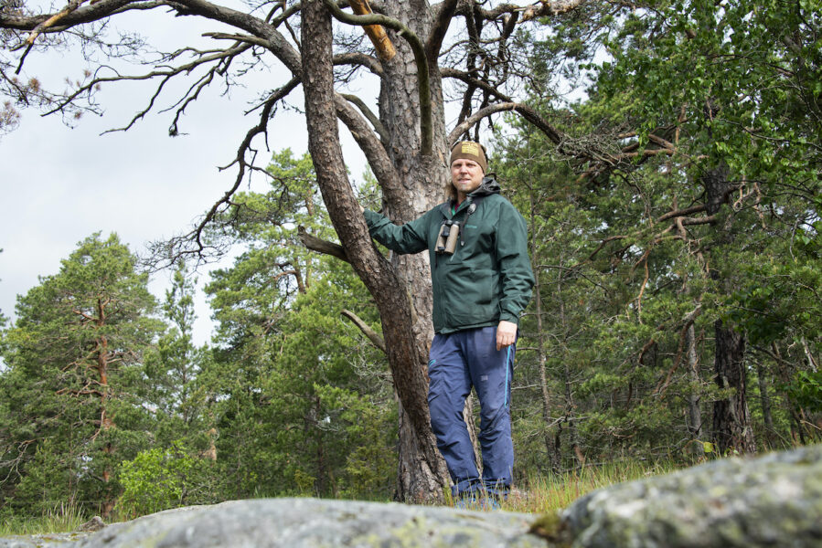 ”Om vi hade kunskap om hur skog ska se ut skulle vi förmodligen bli alldeles förkrossade av hur det svenska skogslandskapet ser ut i dag.