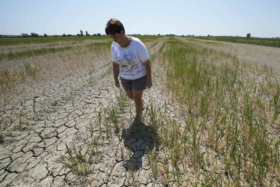 Bonden Elisa Moretto går över sitt uttorkade risfält i norra Italien.
