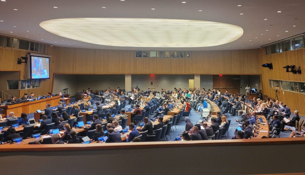 Just nu pågår årets översynskonferens av FN:s icke-spridningsavtal om kärnvapen (NPT).