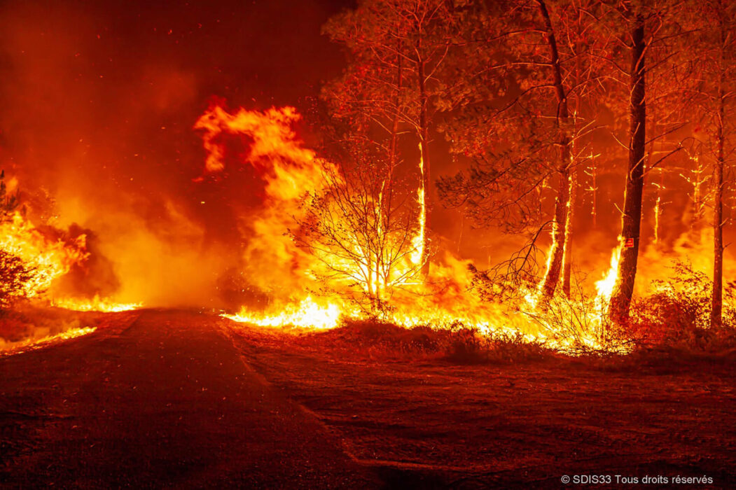 Skådeplatsen för en skogsbrand – en av många i Frankrike – under fredagen nära Saint-Magne, söder om Bordeaux.