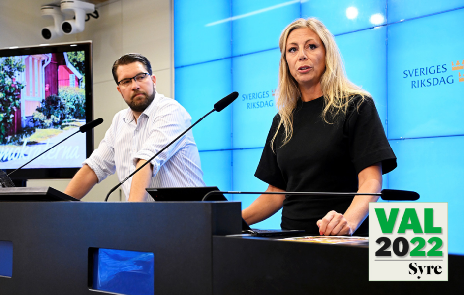 Sverigedemokraternas partiledare Jimmie Åkesson och socialpolitiska talesperson Linda Lindberg vill att tandvården ska omfattas av samma högkostnadsskydd som övrig hälso- och sjukvård.