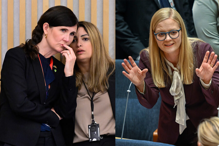Miljöpartiets språkrör Märta Stenevi och Vänsterpartiets partiledare Nooshi Dadgostar hade liknade kritik mot Sverigedemokraternas Julia Kronlid, men till slut valdes Kronlid till andre vice talman i riksdagen.