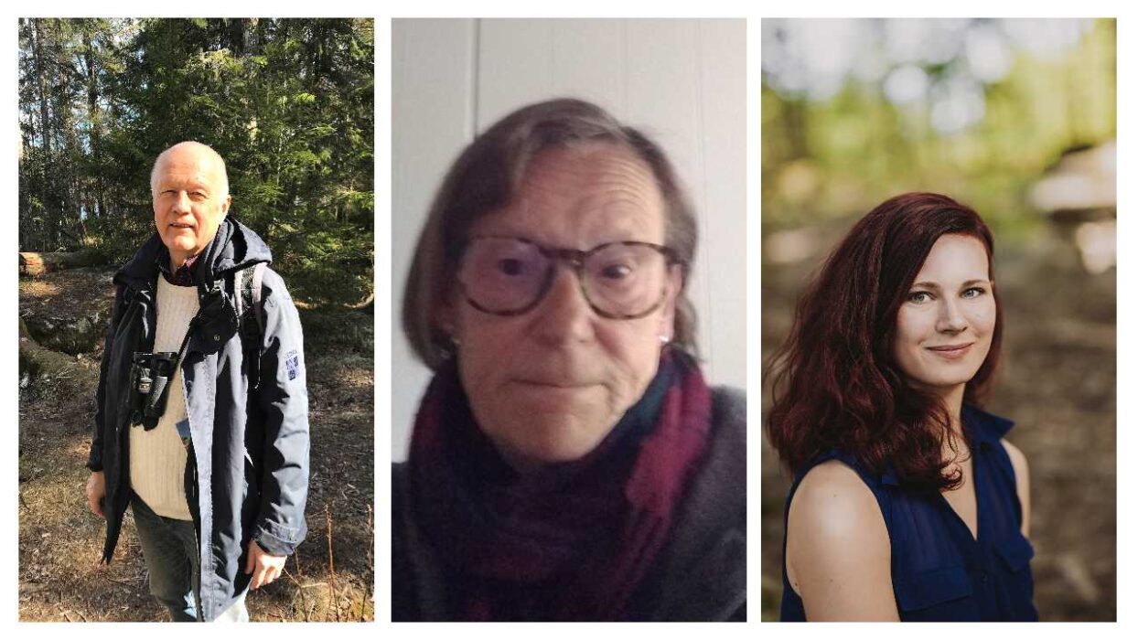 I montaget syns paneldeltagarna Gunnar Brundin, 73 år, talesperson för partiet Vändpunkt, Charlotte Klötz, 68 år, styrelseledamot Folkliberalerna och Rebecka Le Moine, 31 år, riksdagsledamot, Miljöpartiet
