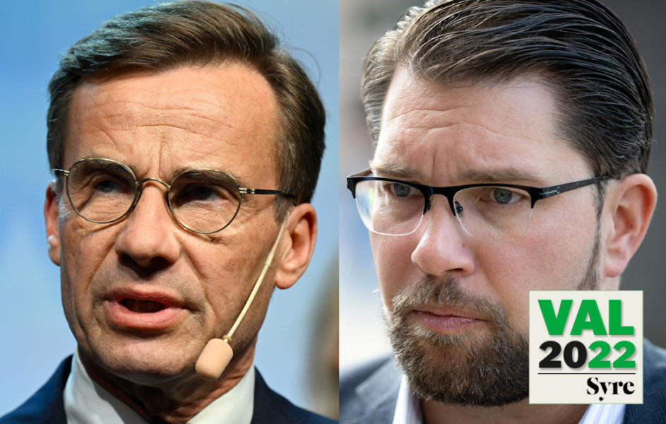 Naturskyddsföreningen är oroade över vilken miljöpolitik som en regering styrd av Ulf Kristersson (M) och Jimmie Åkesson (SD) kommer att ha.