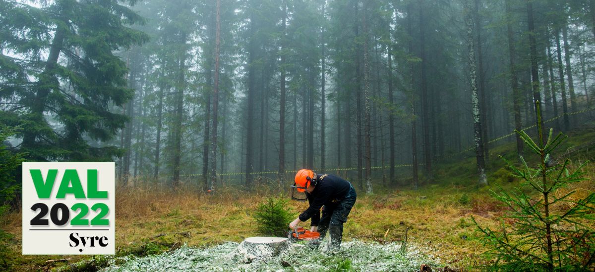 Miljöpartiet presenterade i dag ett skogspaket, där flera förslag syftar till att ställa om skogsbruket till att större arealer sköts hyggesfritt.