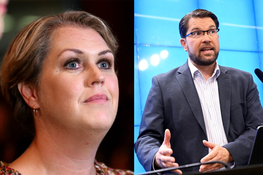Lena Hallengren (S) är upprörd över att Jimmie Åkessons Sverigedemokraterna får ordförandeposten i riksdagens justitie- och utrikesutskott.