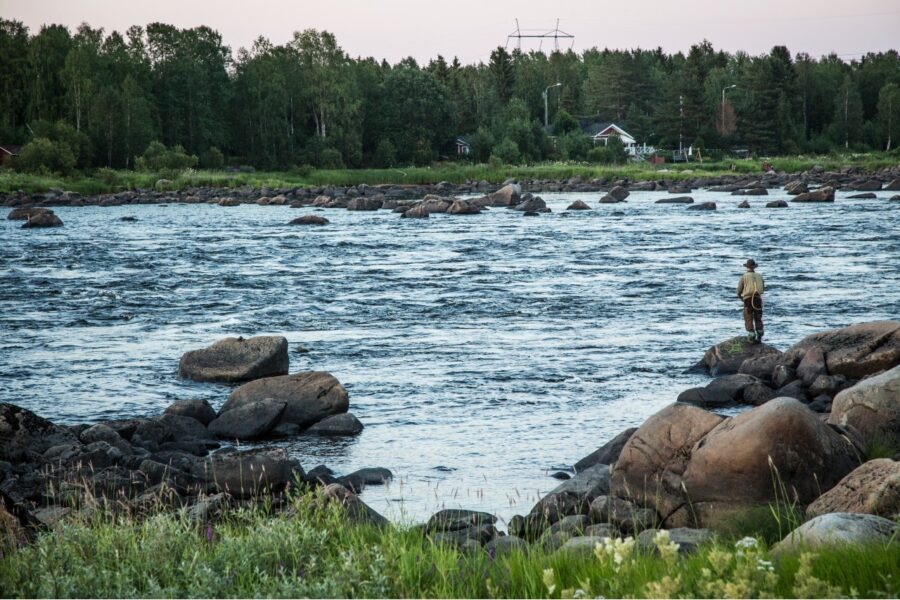 Torne älv, en av Sveriges nationalälvar, är kraftigt påverkad av oss människor, till det sämre.