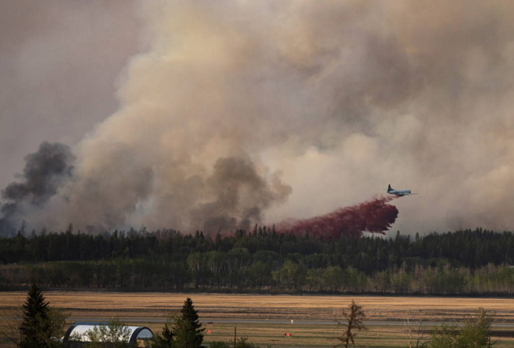 Forskare har identifierat skogsområden i världen som är extra utsatta för klimatförändringar som kan leda till skogsbränder.
