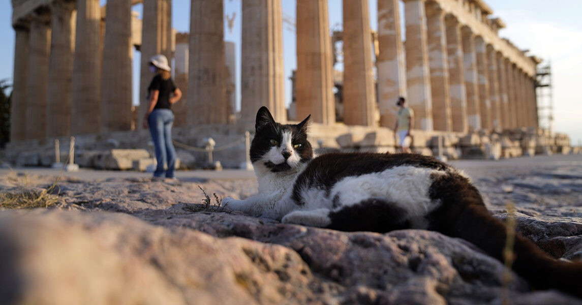 Templet Parthenon på Akropolis i Aten är otvivelaktigt en riktig ruin.