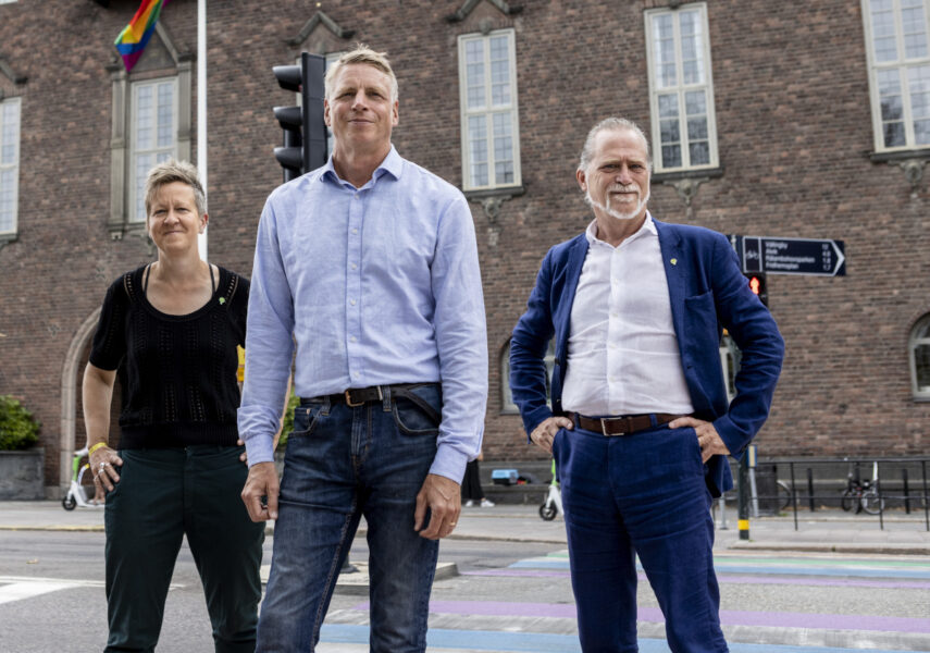 Det ser ut som att Miljöpartiets  Ulrika Westerlund och Daniel Helldén får göra Per Bolund sällskap i den svenska riksdagen.