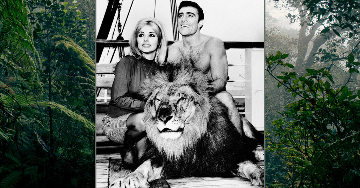 Mike Henry som Tarzan, Sharon Tate som Jane och lejonet Major som lejon.