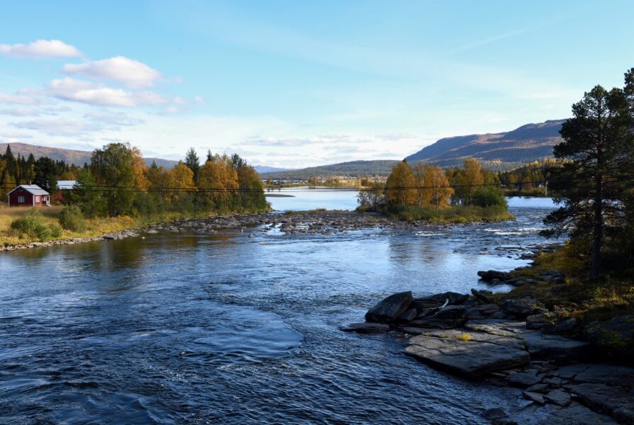 Stora summor satsas nu på att återförvilda älvar och floder runt om i Sverige.