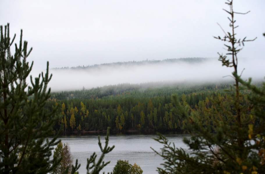 25 skogar med höga naturvärden i Jokkmokks kommun får nu långsiktigt skydd i nya avtal.