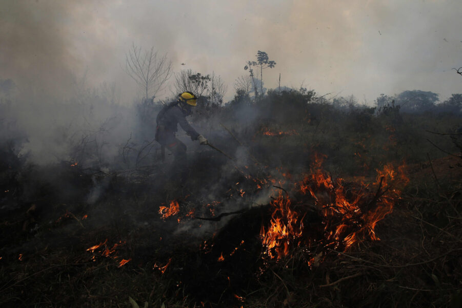 Ett varmare klimat ökar risken för skogsbränder.