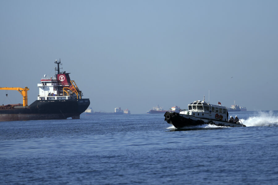 Tolv fartyg med spannmål har under morgonen lämnat Ukraina.