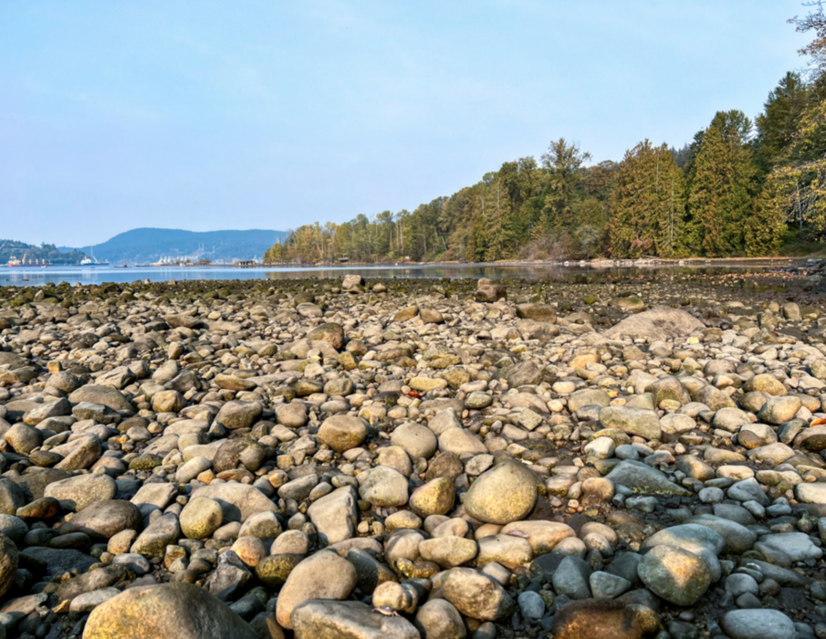 Torka i Port Moody utanför Vancouver.