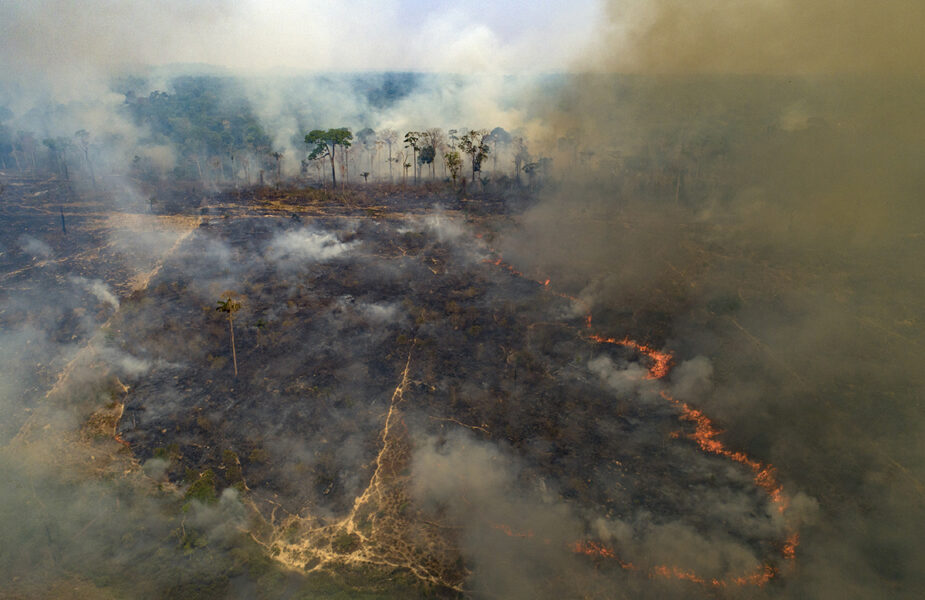 Brand härjar i ett område som avskogats av boskapsbönder, Novo Progresso, Brasilien 2020.