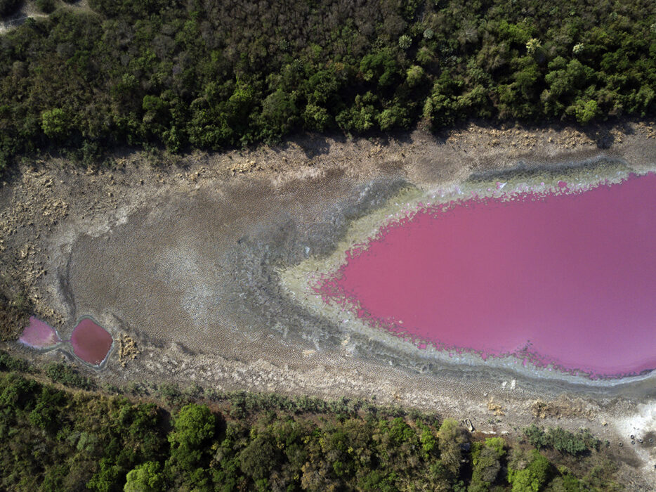 Bädden i Cerro-lagunen i Paraguay efter en utdragen torka.